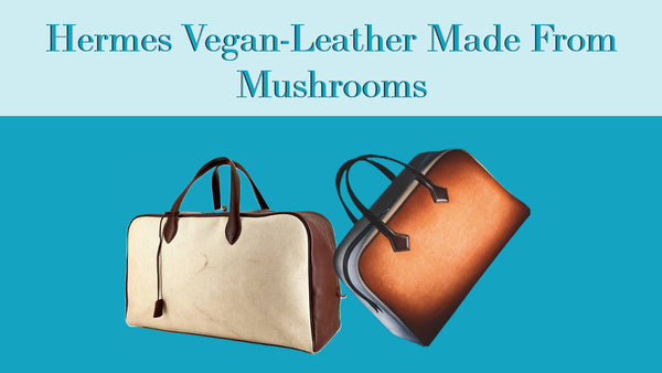 Hermes Vegan-Leather Made From Mushrooms