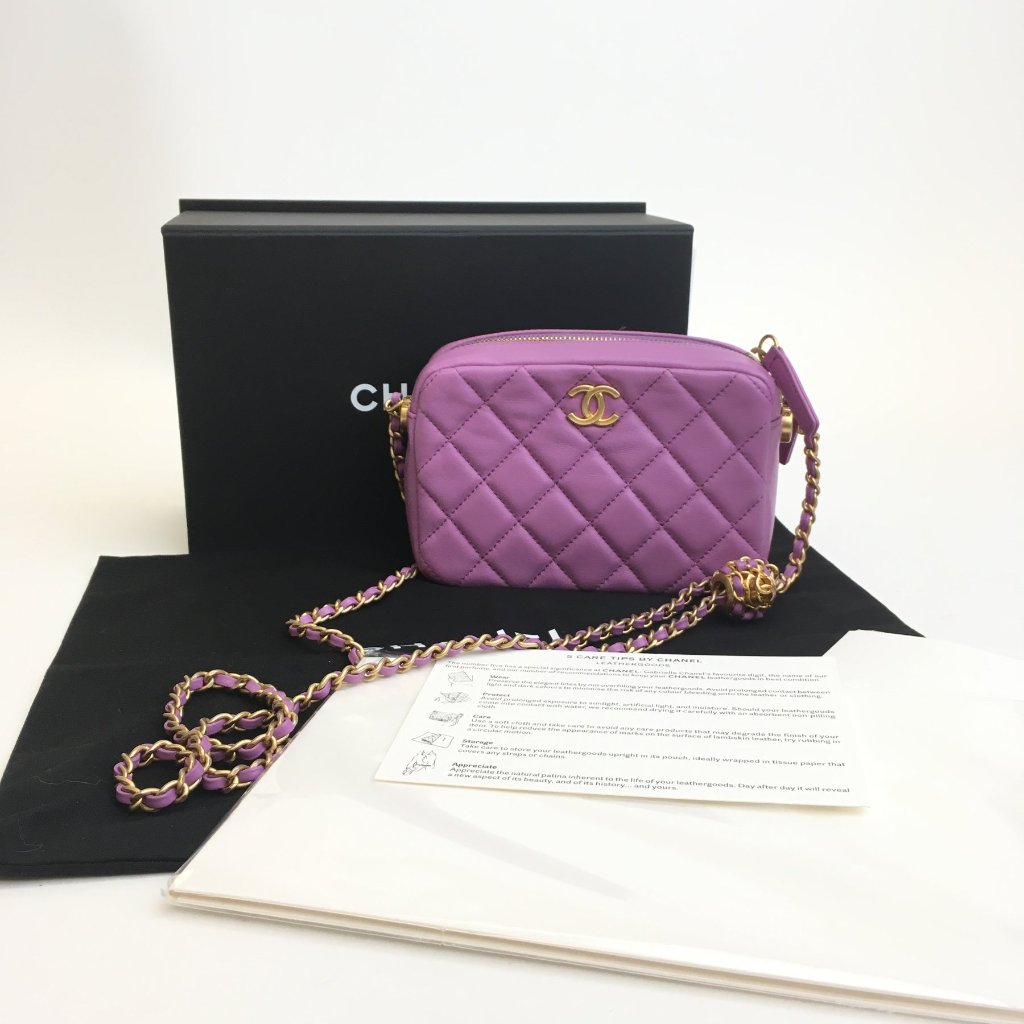 Chanel Pearl Crush Camera Bag