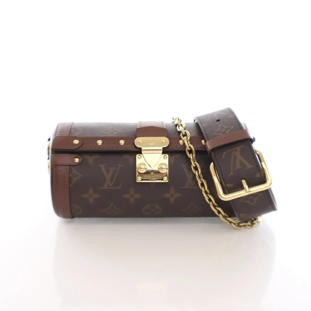 Louis Vuitton Papillon Trunk