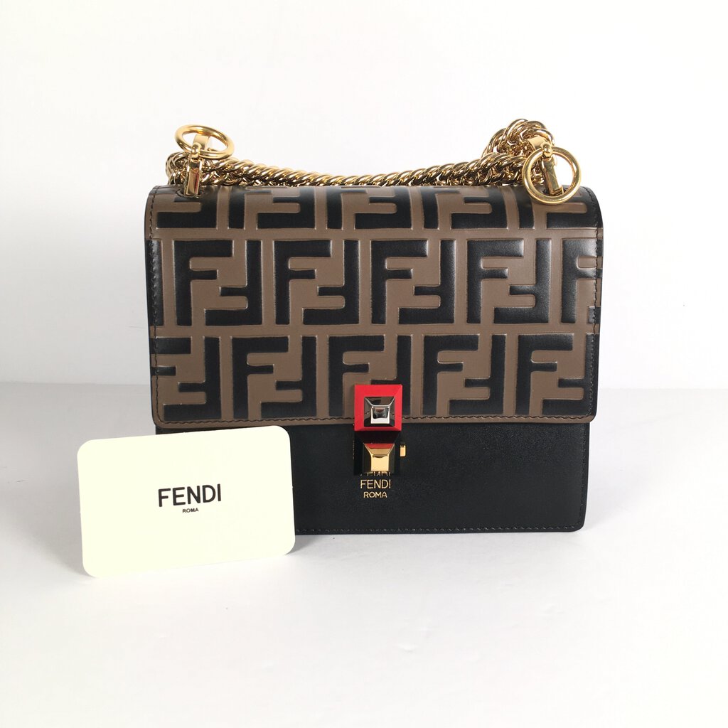 Fendi Kan I Shoulder Bag