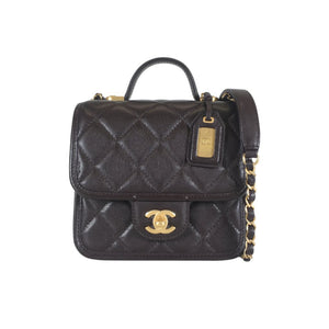 Chanel Seasonal Top Handle Flap