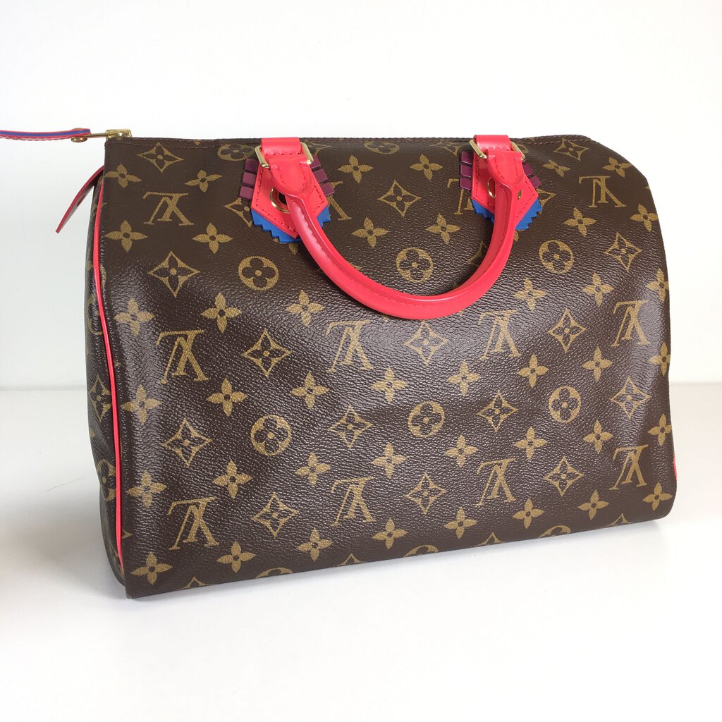 Louis Vuitton Speedy Totem