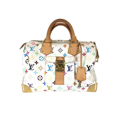 Louis Vuitton Speedy Multicolor