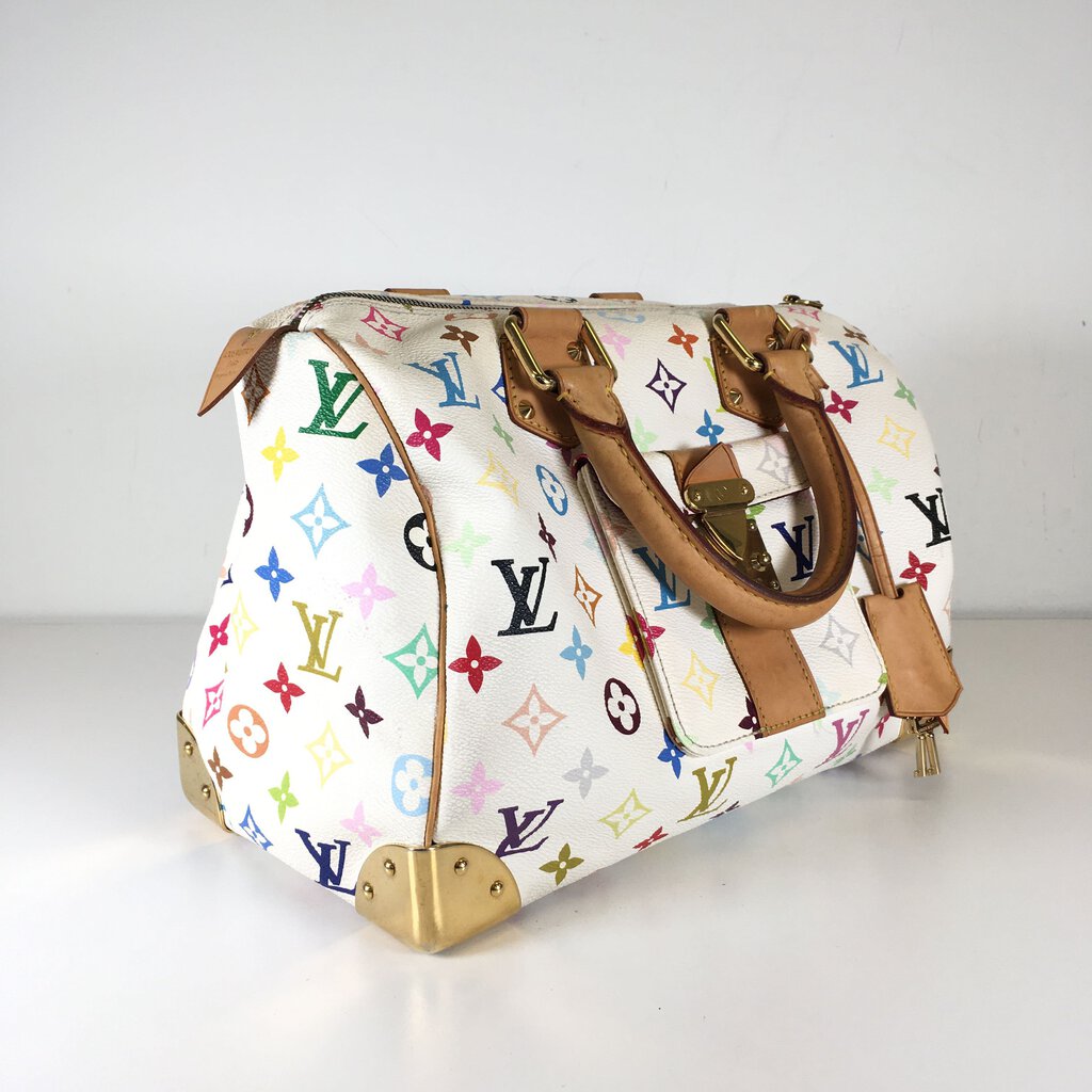 Louis Vuitton Speedy Multicolor