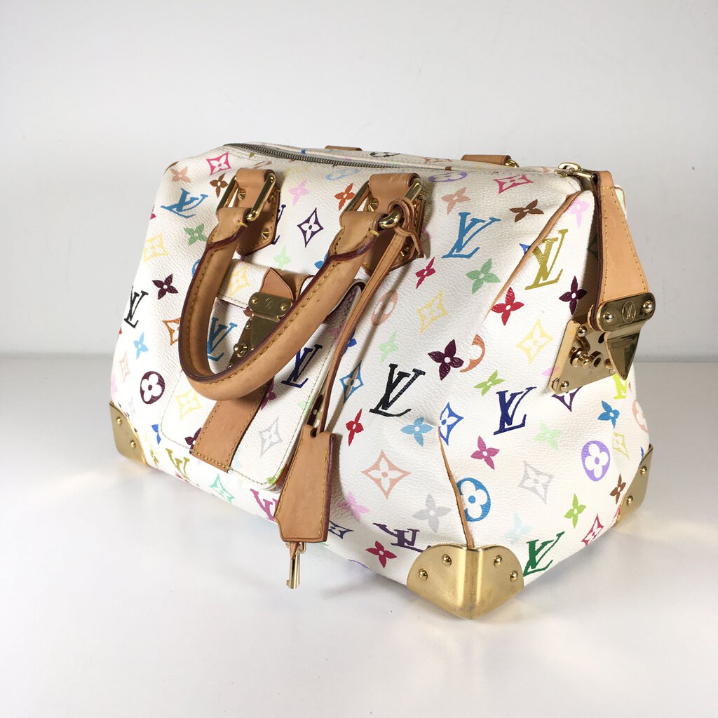 Louis Vuitton Speedy Multicolor