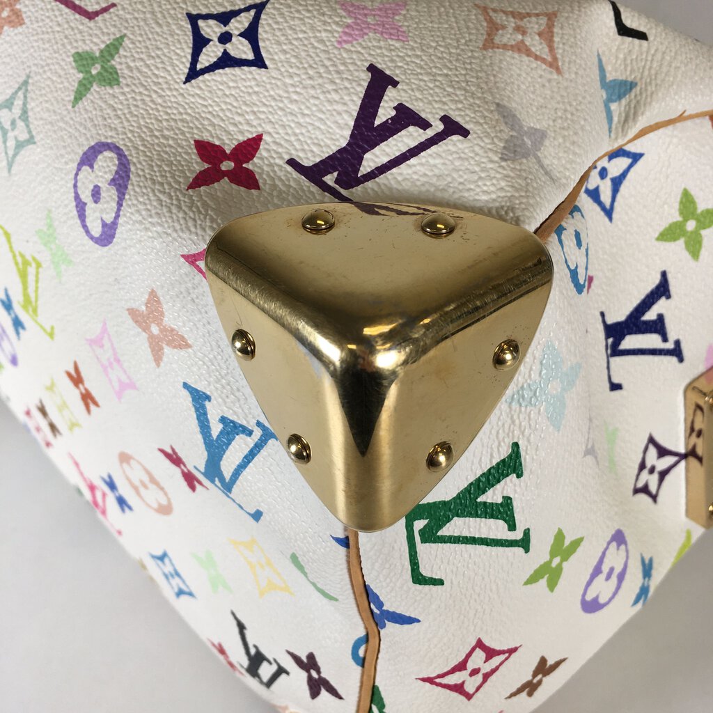 Louis Vuitton Speedy Multicolor