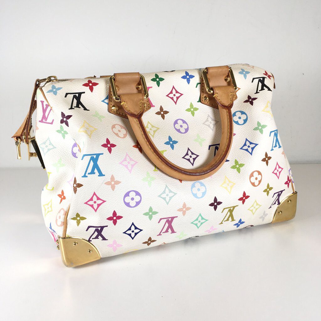 Louis Vuitton Speedy Multicolor