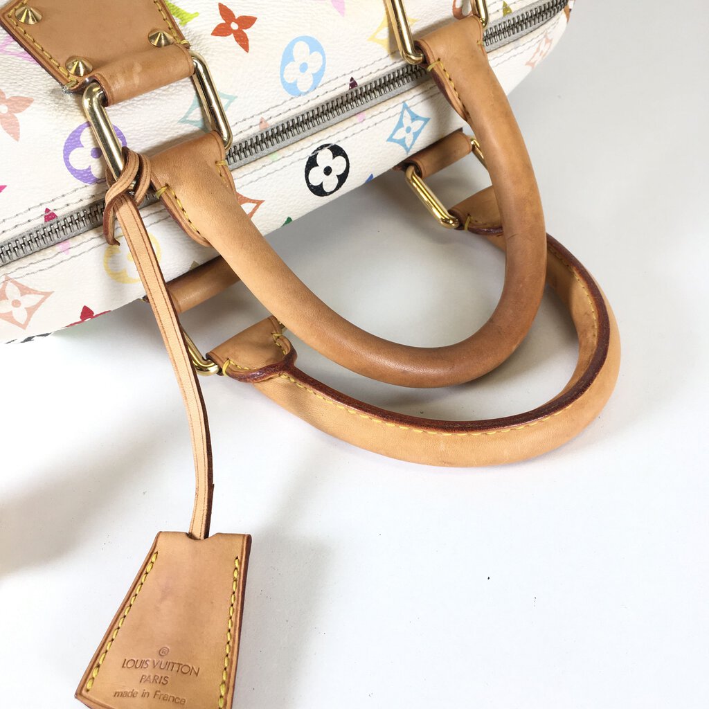 Louis Vuitton Speedy Multicolor