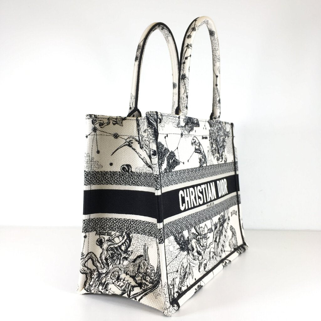 Dior Book Tote