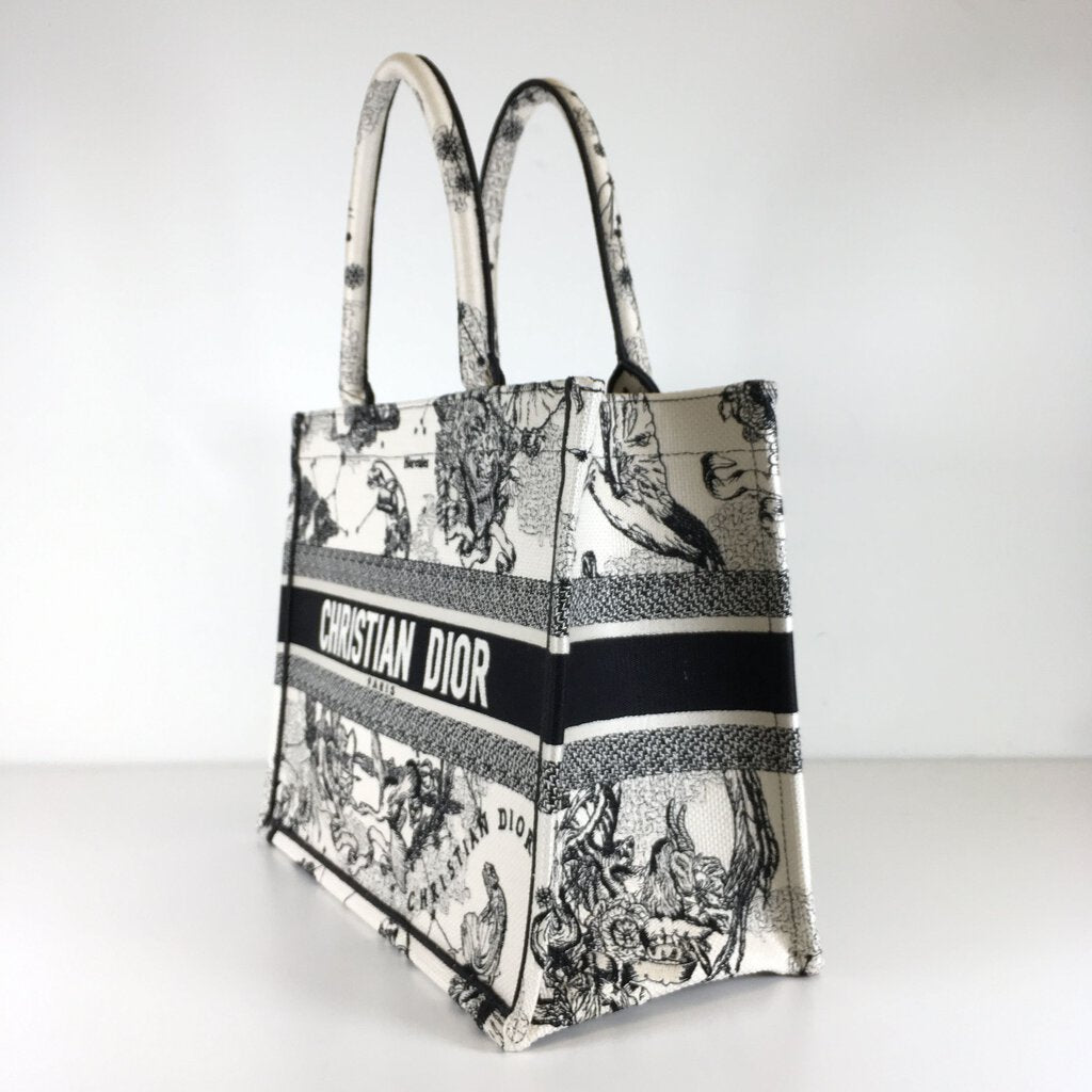 Dior Book Tote