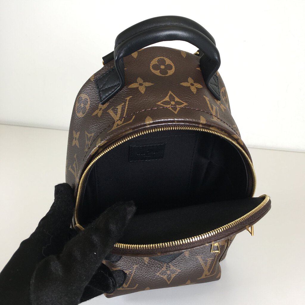 Louis Vuitton Palm Springs Mini