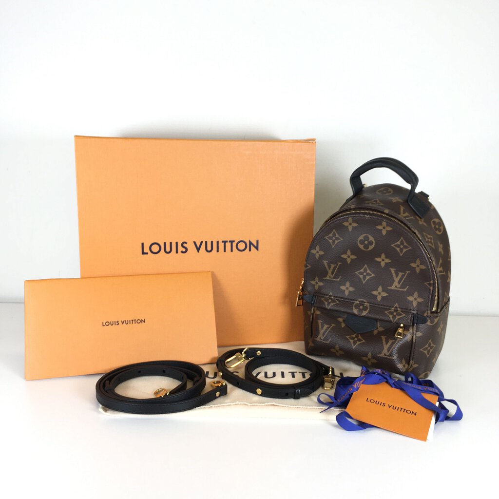 Louis Vuitton Palm Springs Mini