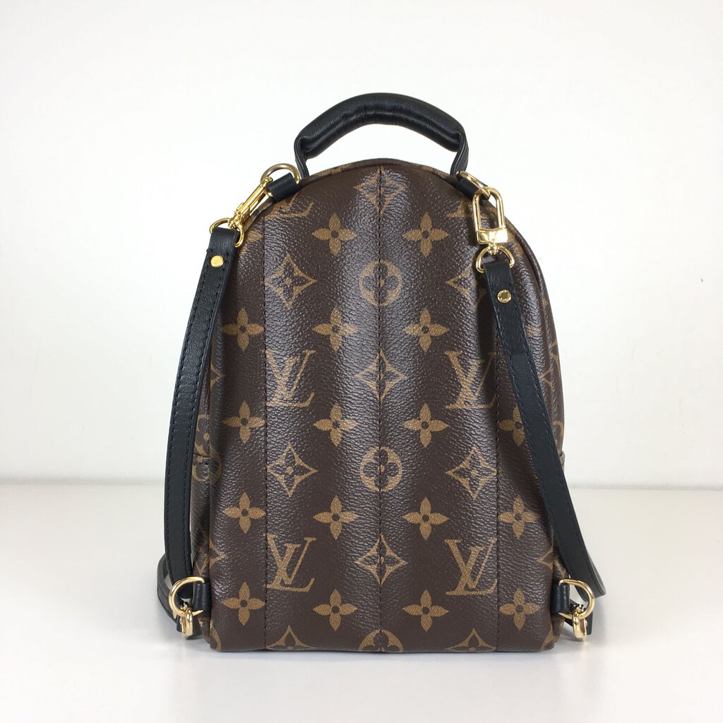 Louis Vuitton Palm Springs Mini