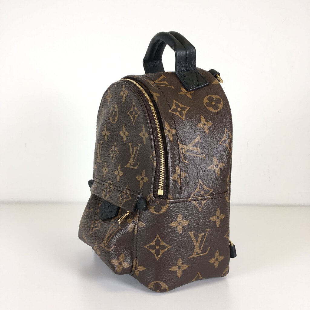 Louis Vuitton Palm Springs Mini