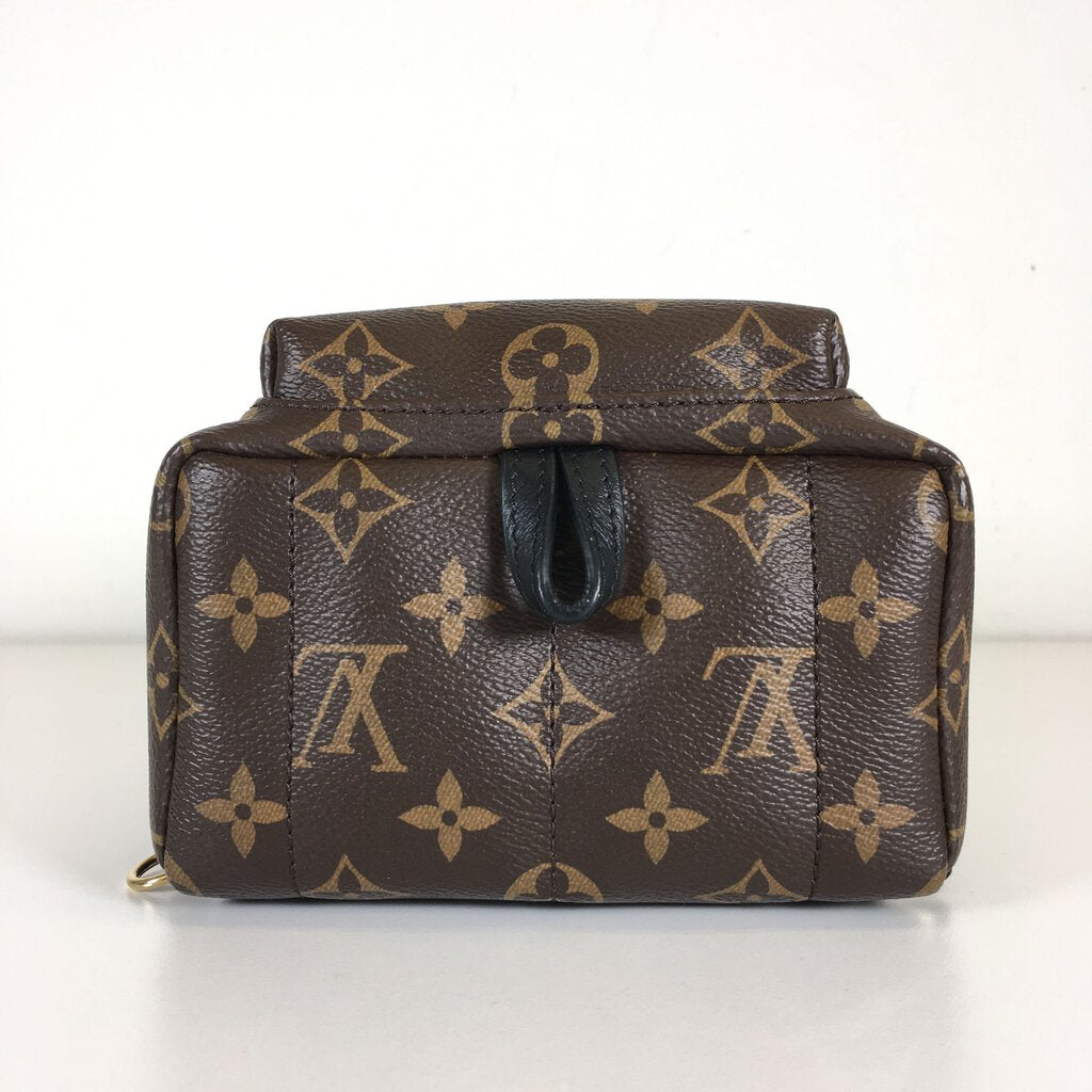 Louis Vuitton Palm Springs Mini