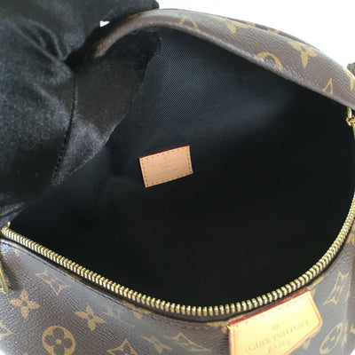 Louis Vuitton Bumbag