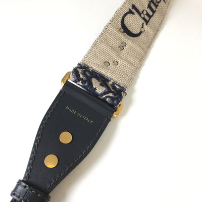 Dior Saddle Strap