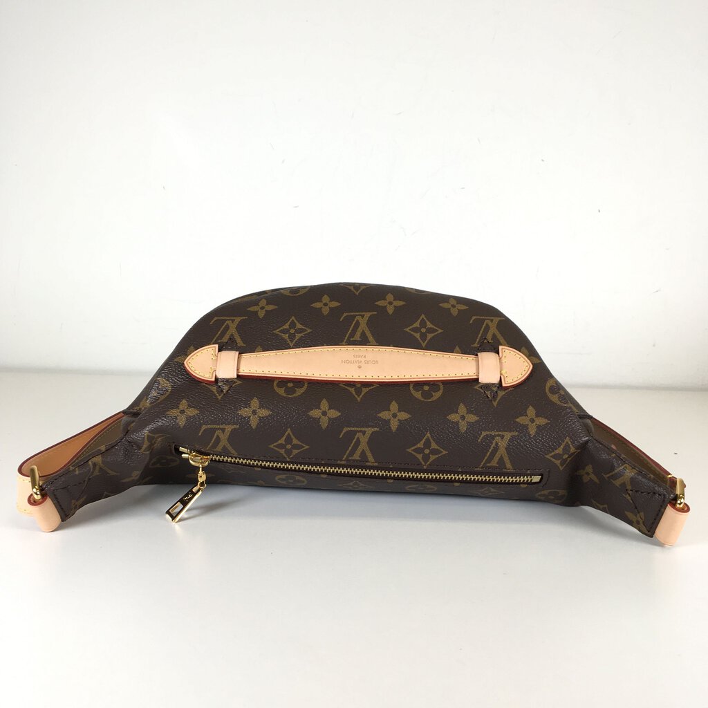 Louis Vuitton Bumbag