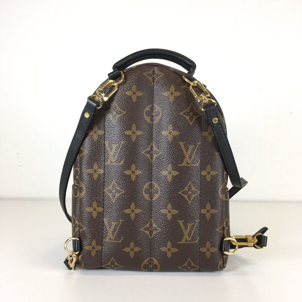 Louis Vuitton Palmsprings Mini