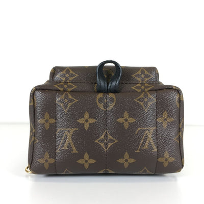 Louis Vuitton Palmsprings Mini