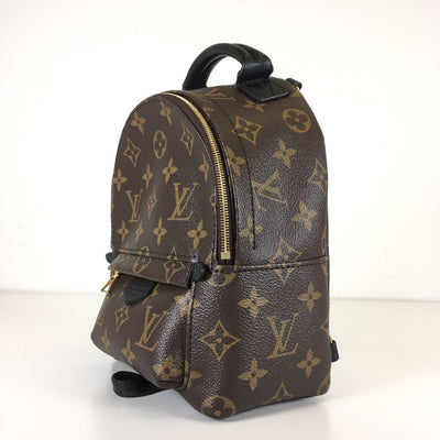 Louis Vuitton Palmsprings Mini