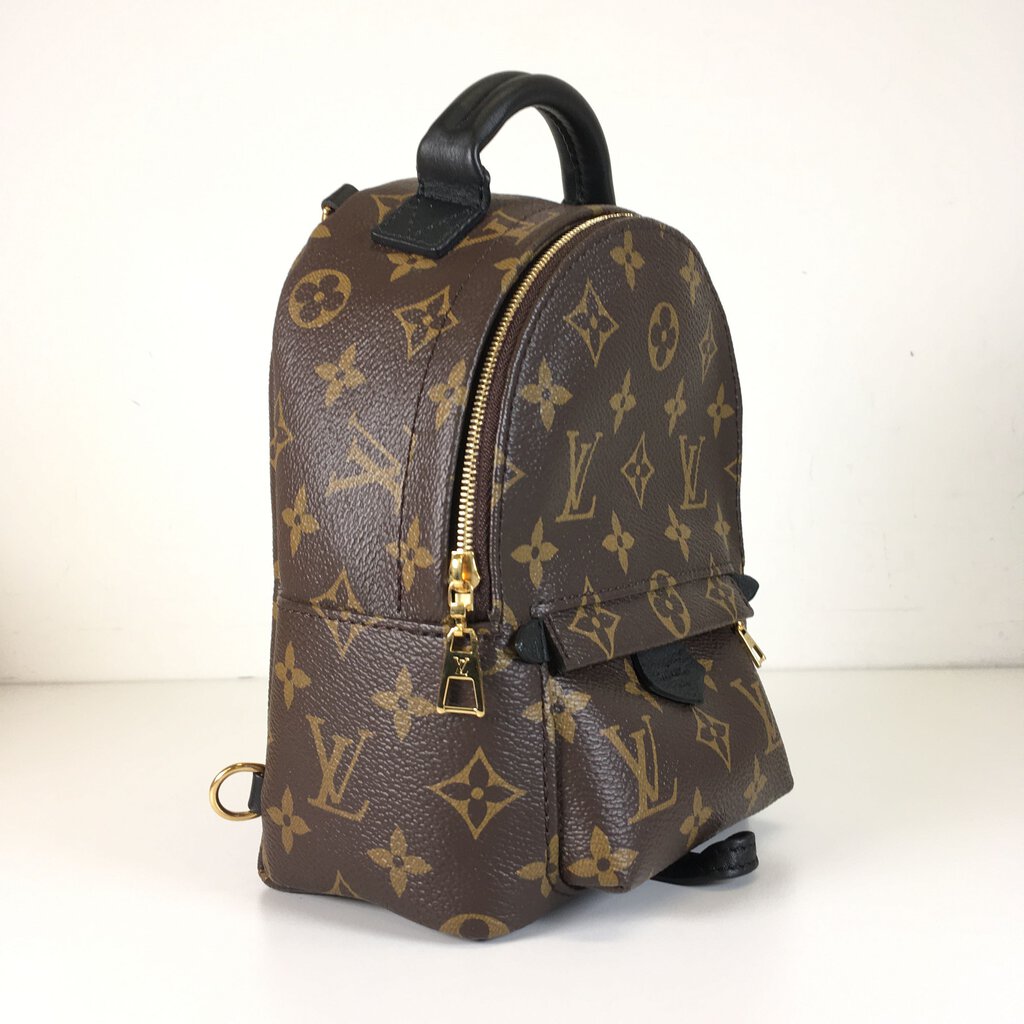 Louis Vuitton Palm Springs Mini