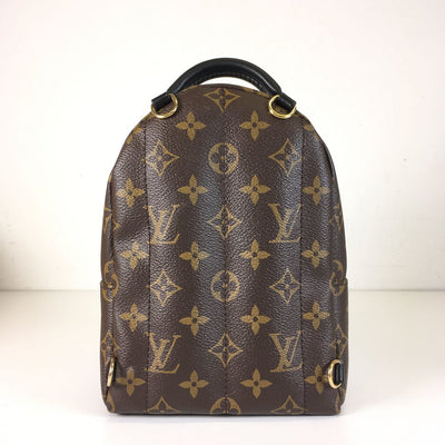 Louis Vuitton Palm Springs Mini