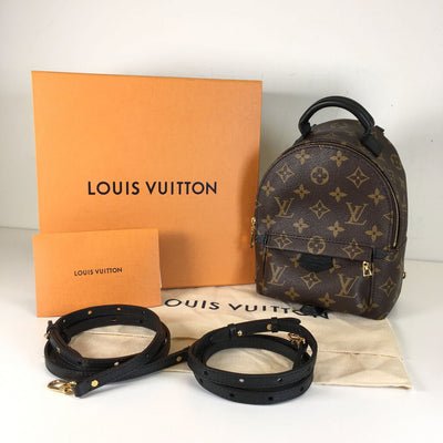 Louis Vuitton Palm Springs Mini