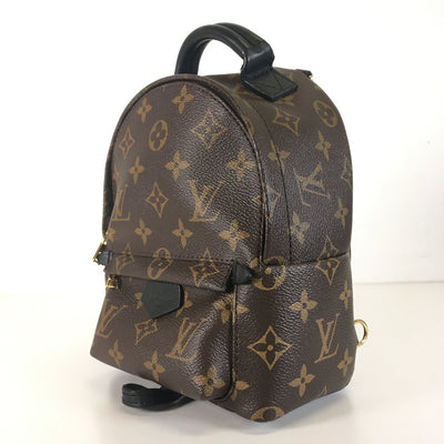 Louis Vuitton Palm Springs Mini