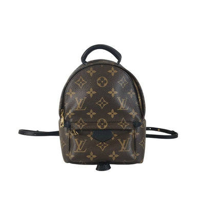 Louis Vuitton Palm Springs Mini