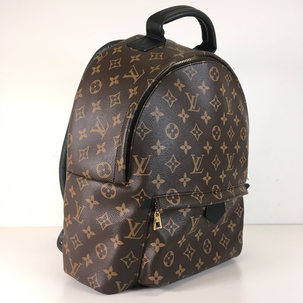 Louis Vuitton Palm Springs Backpack