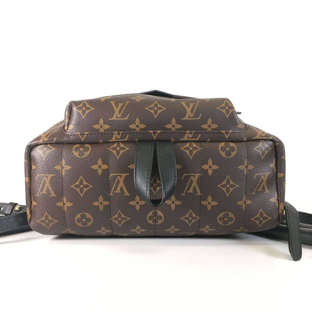 Louis Vuitton Palm Springs Backpack