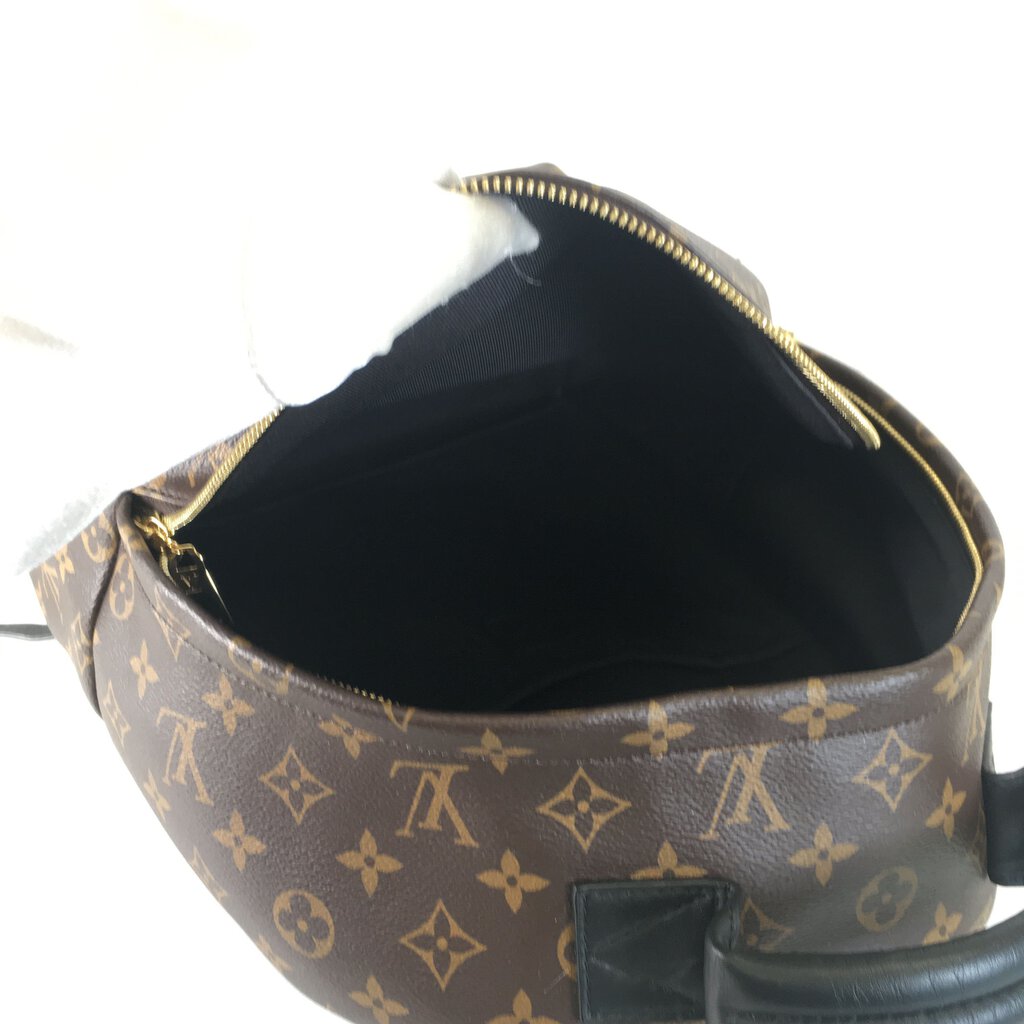 Louis Vuitton Palm Springs Backpack