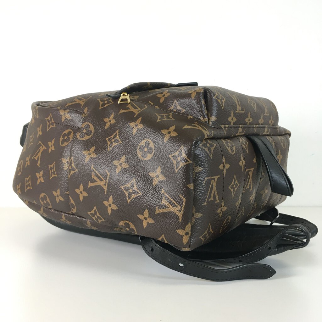 Louis Vuitton Palm Springs Backpack