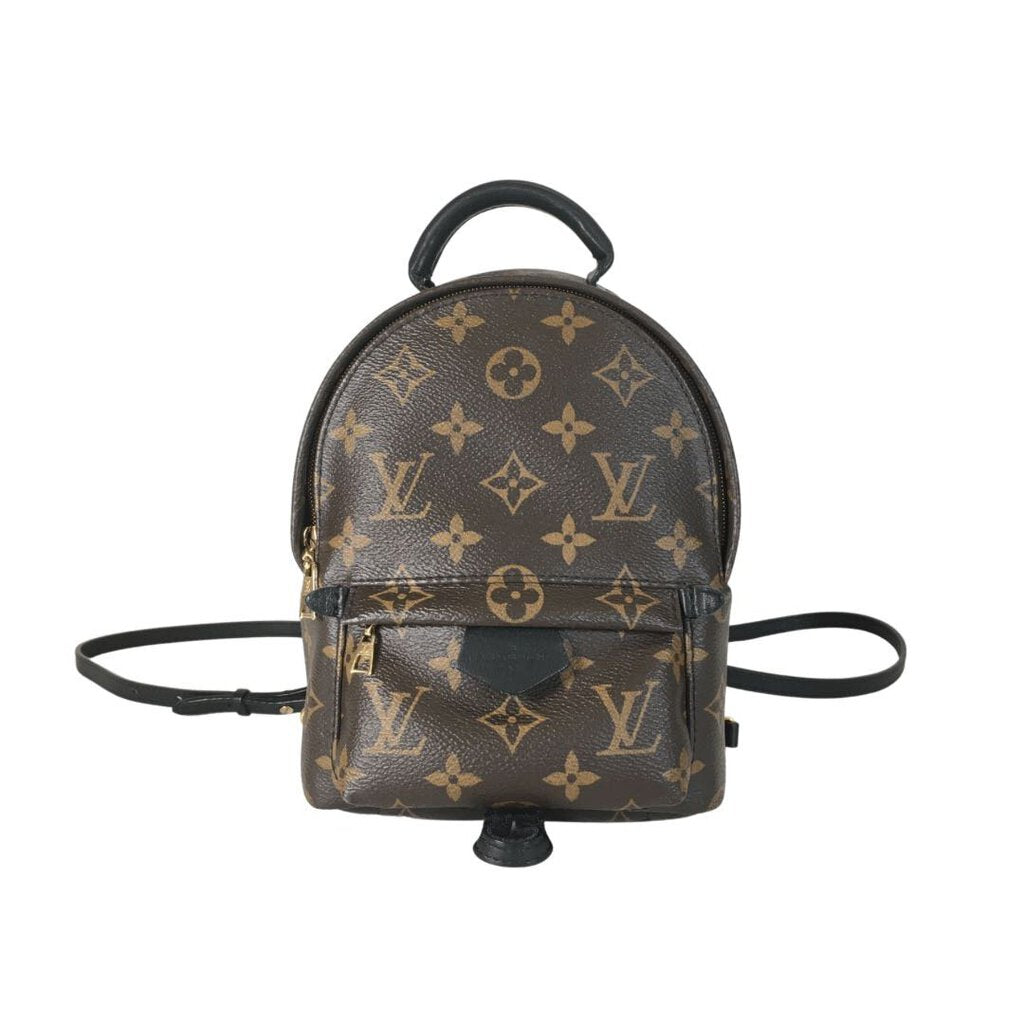 Louis Vuitton Palm Springs Mini