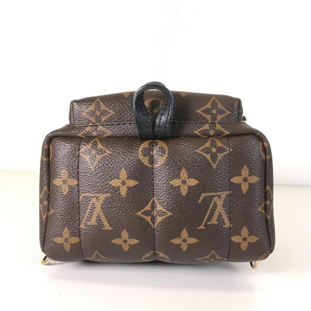 Louis Vuitton Palm Springs Mini