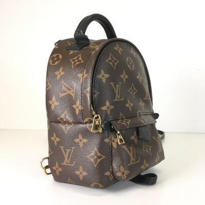 Louis Vuitton Palm Springs Mini