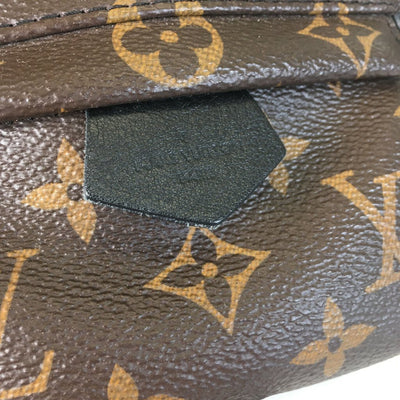 Louis Vuitton Palm Springs Mini