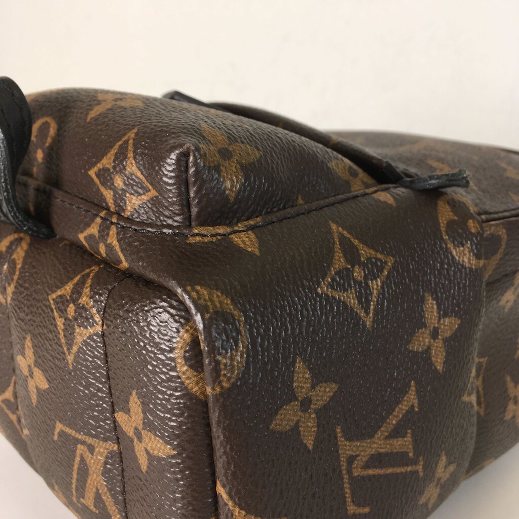 Louis Vuitton Palm Springs Mini