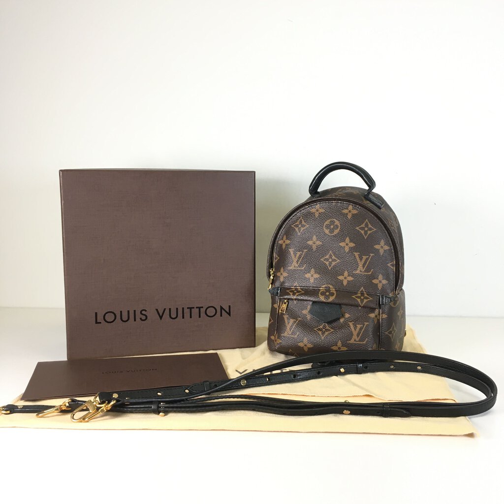 Louis Vuitton Palm Springs Mini