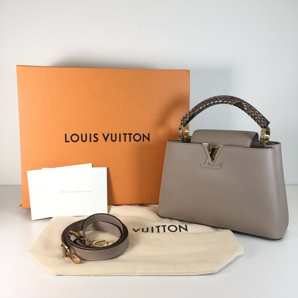 Louis Vuitton Capucine BB