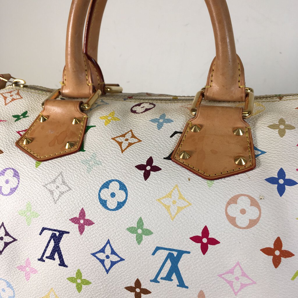 Louis Vuitton Speedy 30 Multicolor