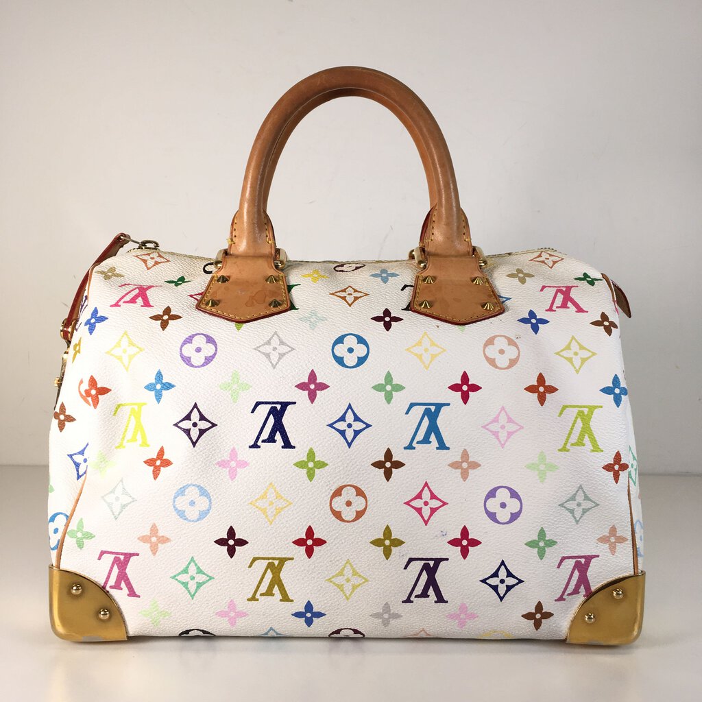 Louis Vuitton Speedy 30 Multicolor