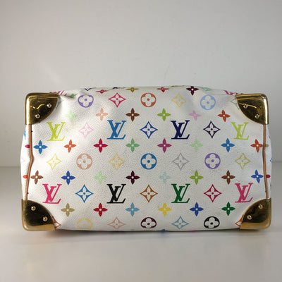 Louis Vuitton Speedy 30 Multicolor