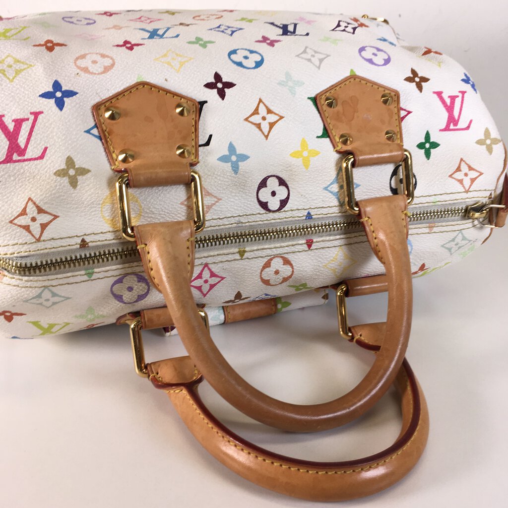 Louis Vuitton Speedy 30 Multicolor