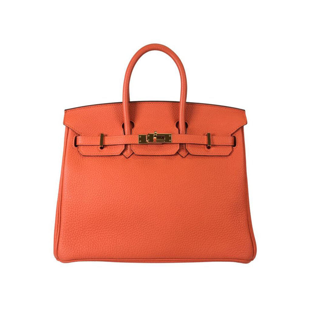 Hermes Birkin 25