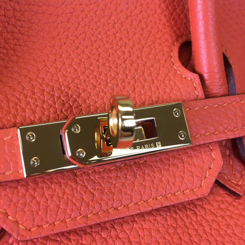 Hermes Birkin 25