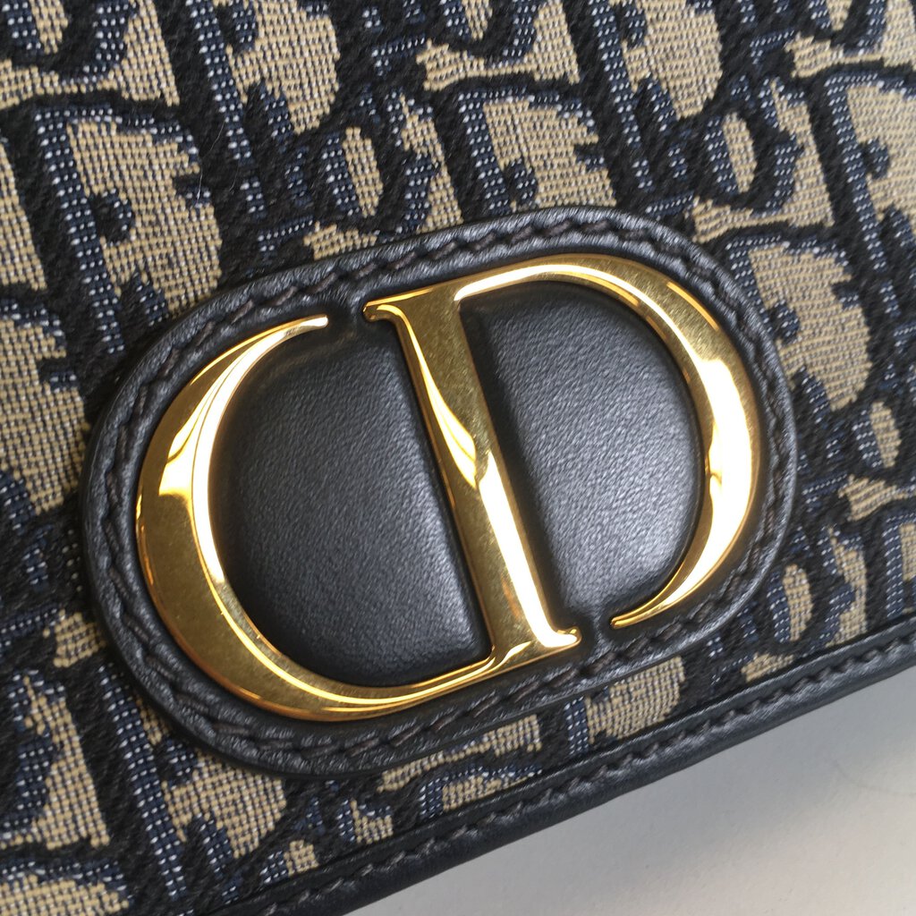 Dior 2in1 Montaigne Belt Bag