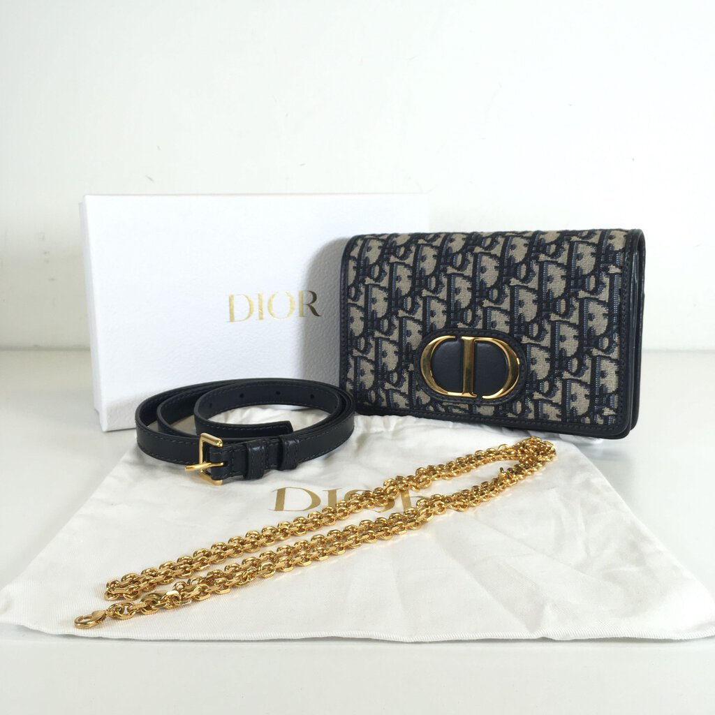 Dior 2in1 Montaigne Belt Bag