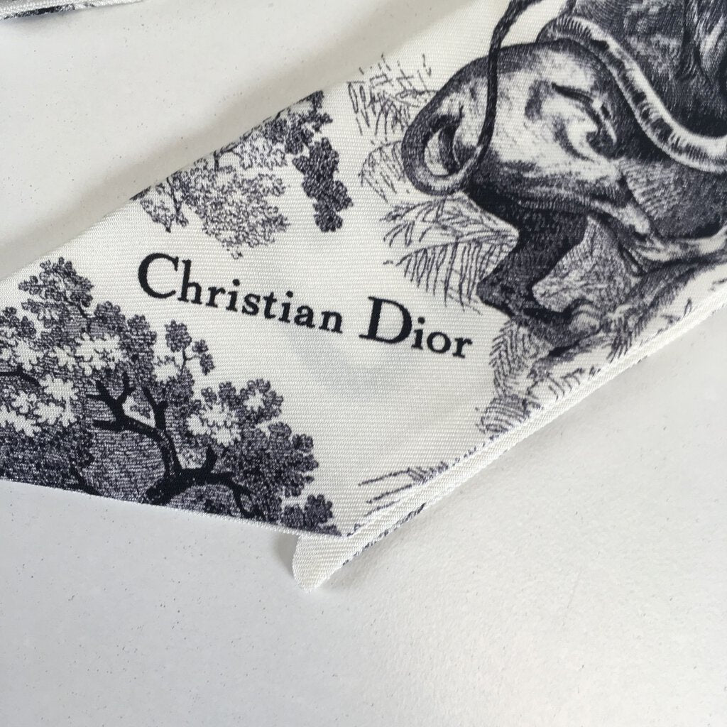 Dior Toile De Jouy Twilly